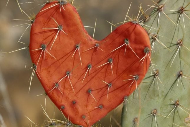 Un Coeur plein d'épine symbolisant la souffrance intérieure que crée une relation toxique et une emprise émotionnelle ou amour et souffrance évoluent de pairs.
